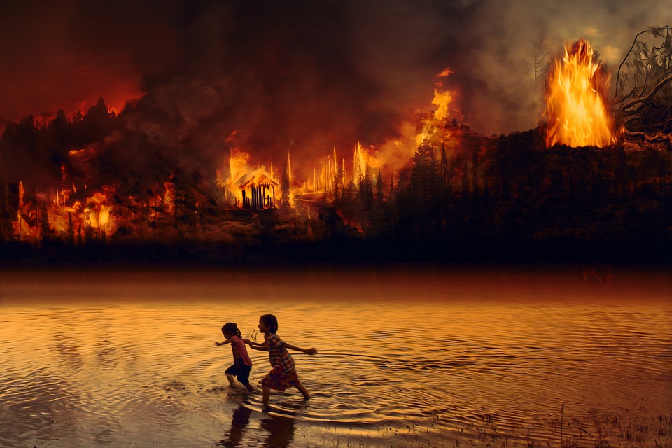 AMAZONIE la forêt amazonienne en feu